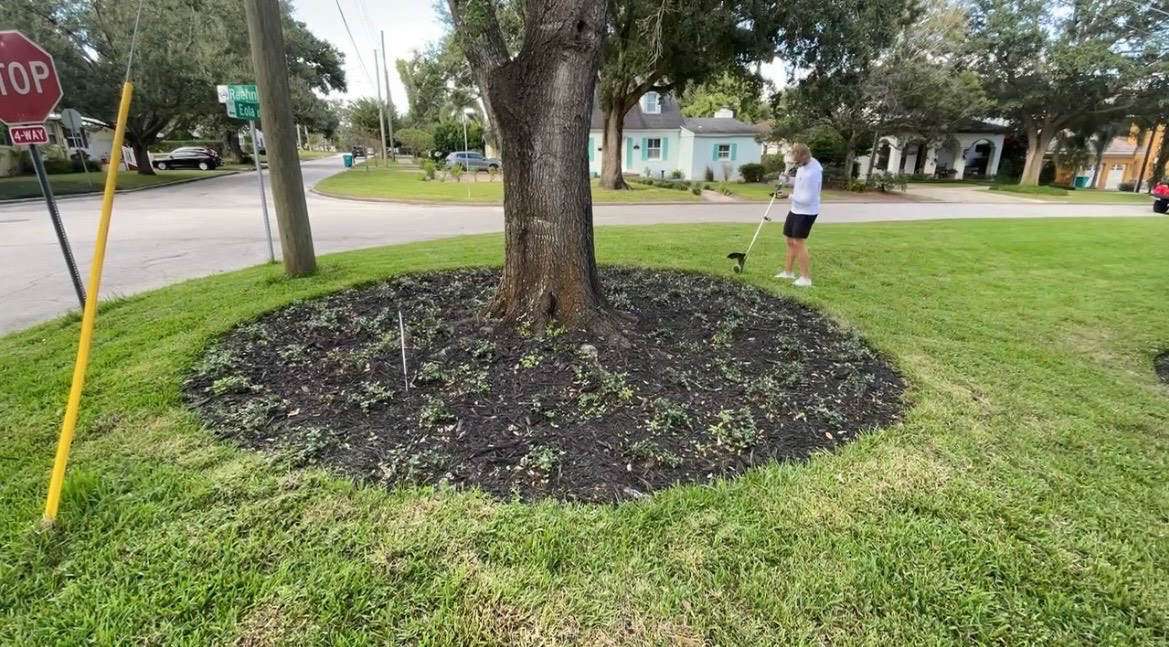 Landscaping project photo 5