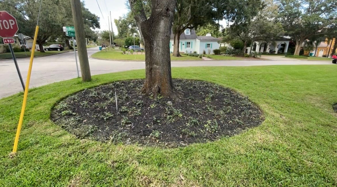 Landscaping project photo 6